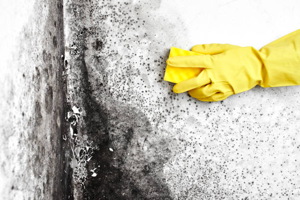 Water Damage Restoration in Wenatchee, WA