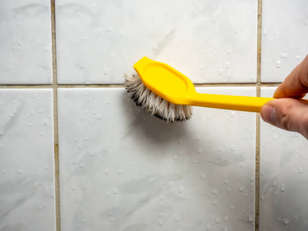 Best Emergency Mold Removal  in Wenatchee, WA