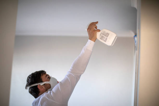 Attic Mold Removal in Wenatchee, WA